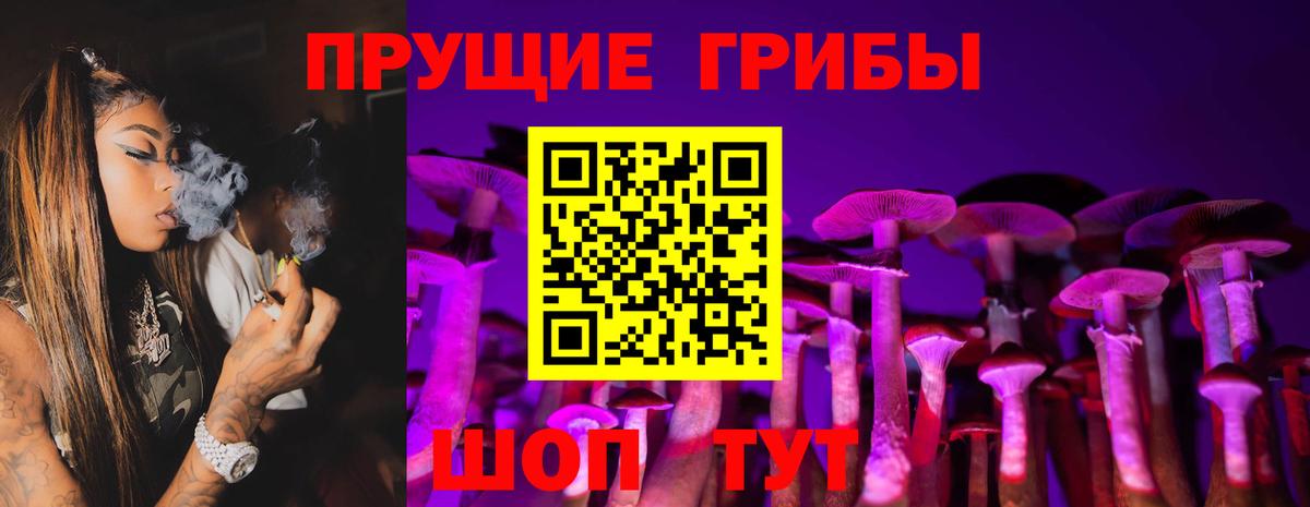Кыштым  Псилоцибиновые грибы MAGIC MUSHROOMS  Вход с VPN 