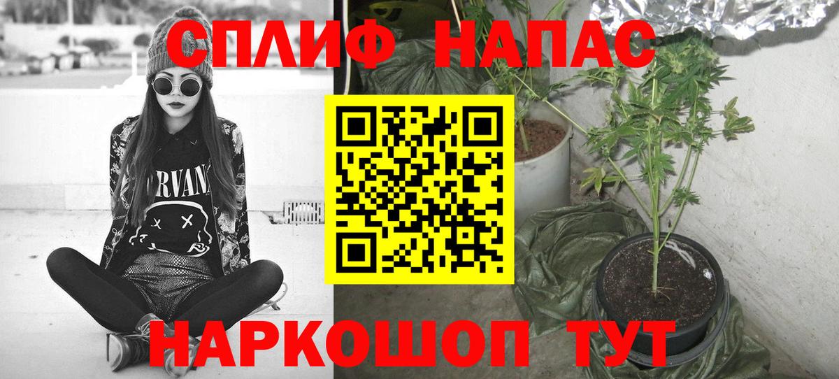 Бошки марихуана планчик  Вход с VPN  Кыштым  Шишки марихуана тримм 